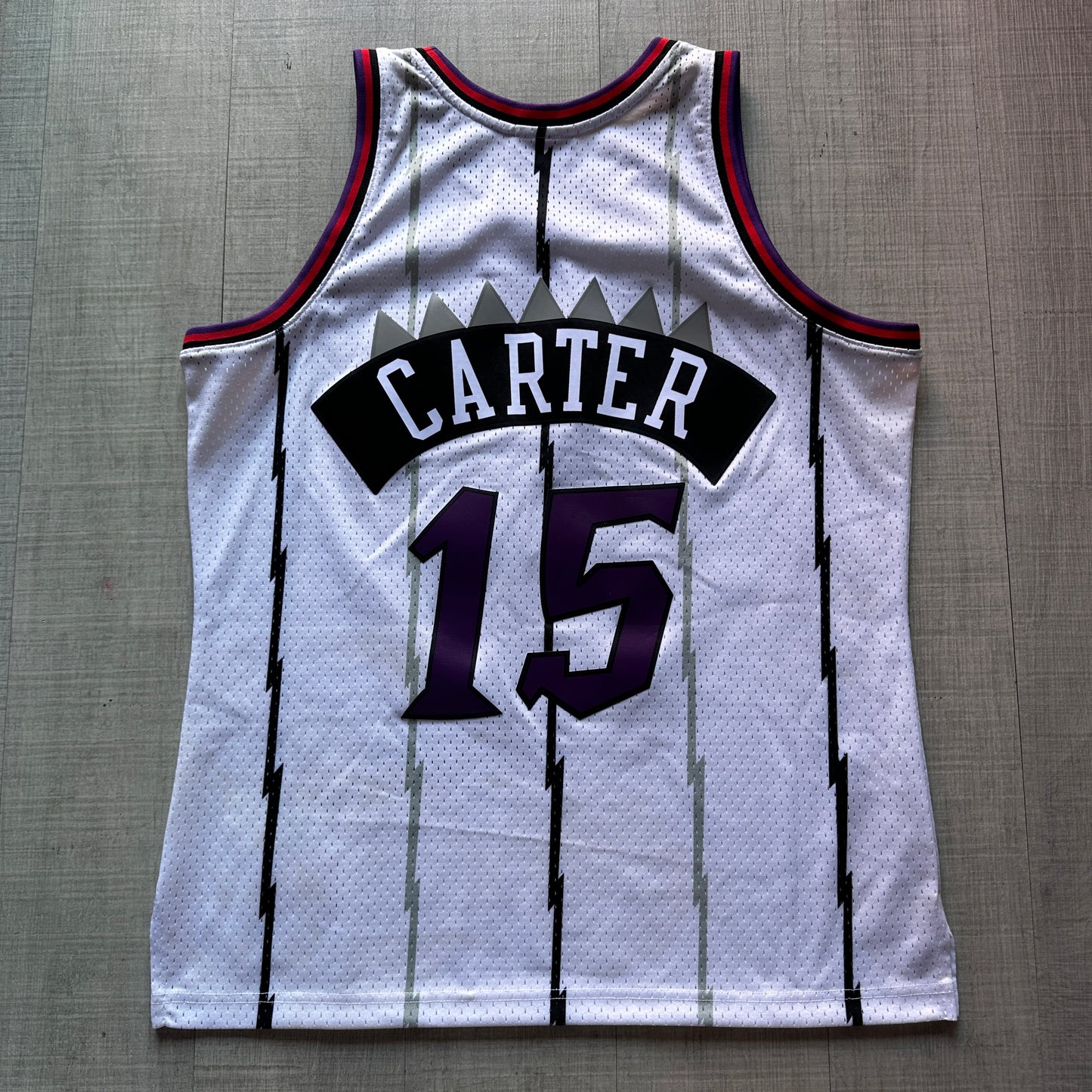 Vince Carter Toronto Raptors 98-99 Mitchell & Ness Jersey