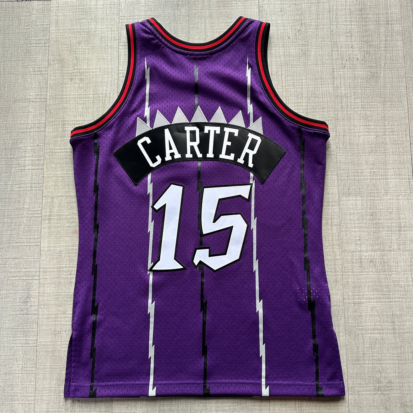 Vince Carter Toronto Raptors 98-99 Mitchell & Ness Jersey