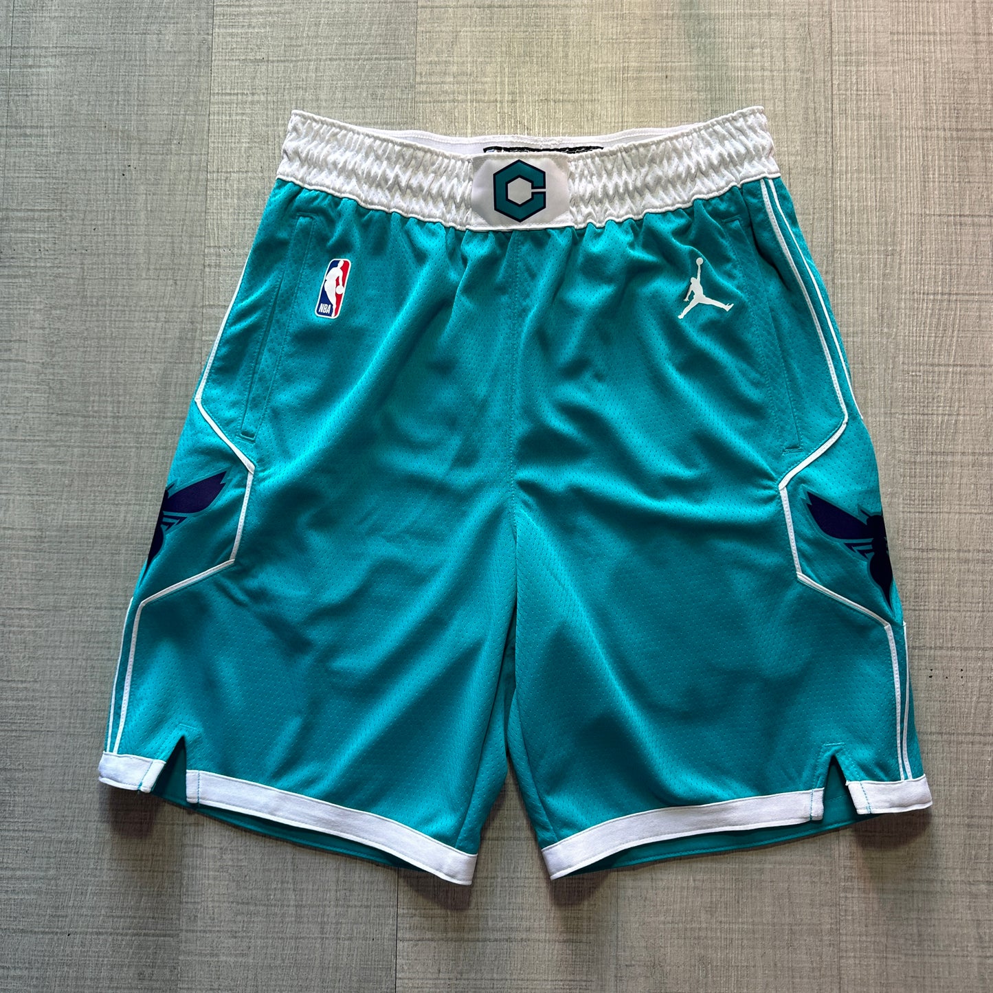 Charlotte Hornets Icon Edition Nike Shorts