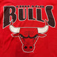 Chicago Bulls Big Logo Nutmeg Tee