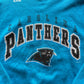 Carolina Panthers NFL Pro Player Sweat