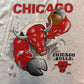 Chicago Bulls Double Sided Nutmeg Tee