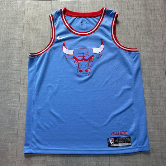 Chicago Bulls City Edition Nike Jersey