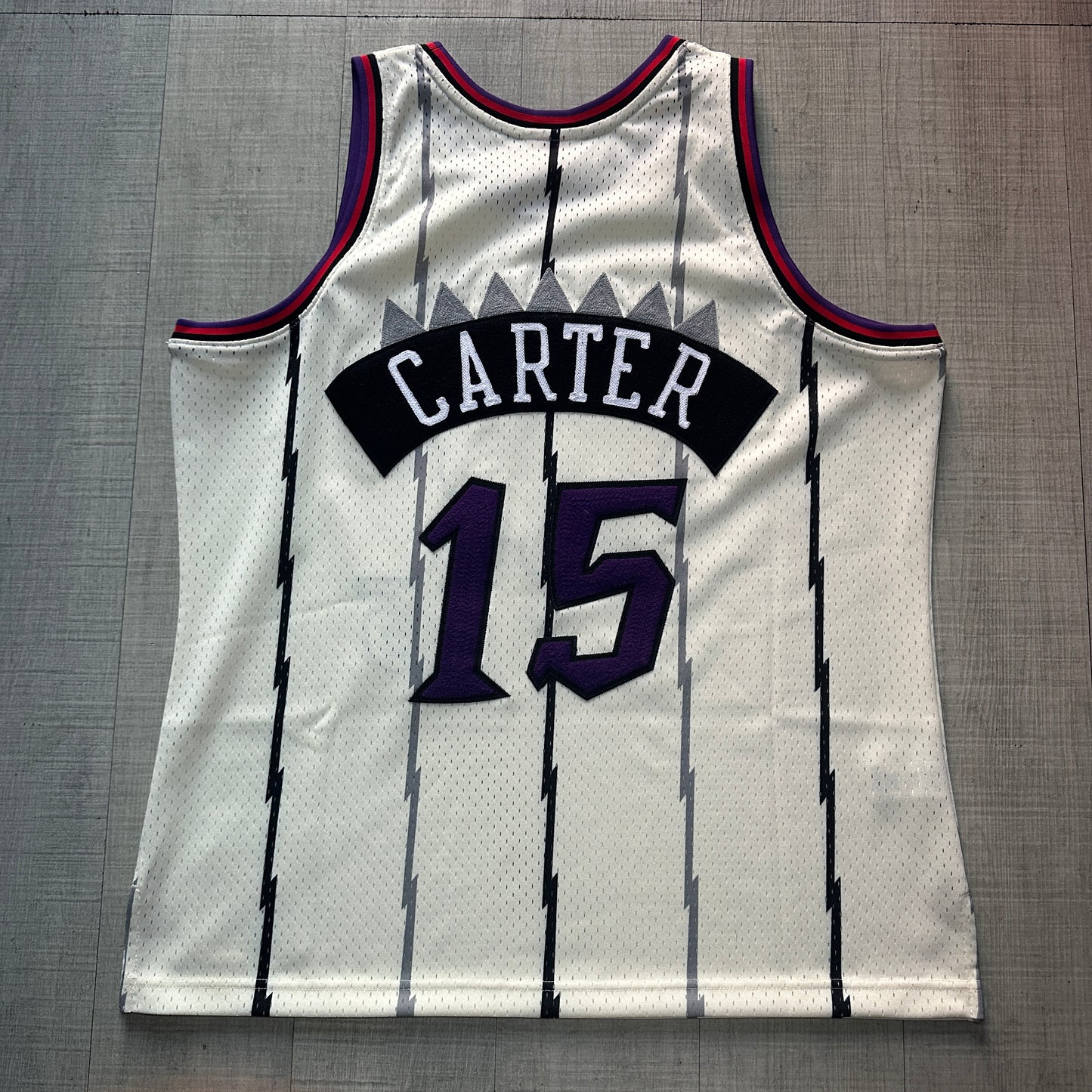 Vince Carter Toronto Raptors Chain Stitch Mitchell & Ness Jersey