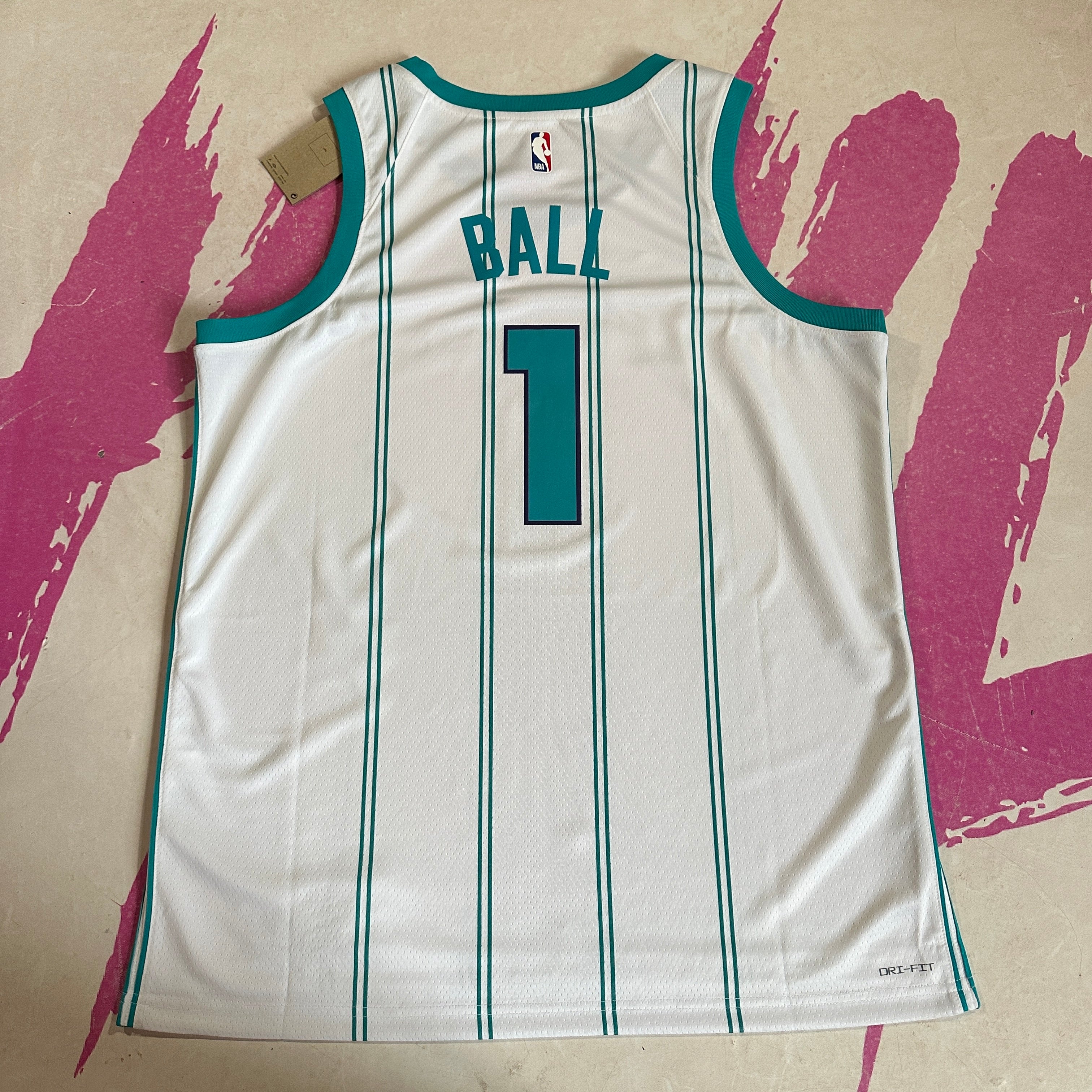 Charlotte hornets outlet nike jersey