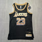 LeBron James LA Lakers Select Series Nike Jersey