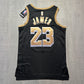 LeBron James LA Lakers Select Series Nike Jersey