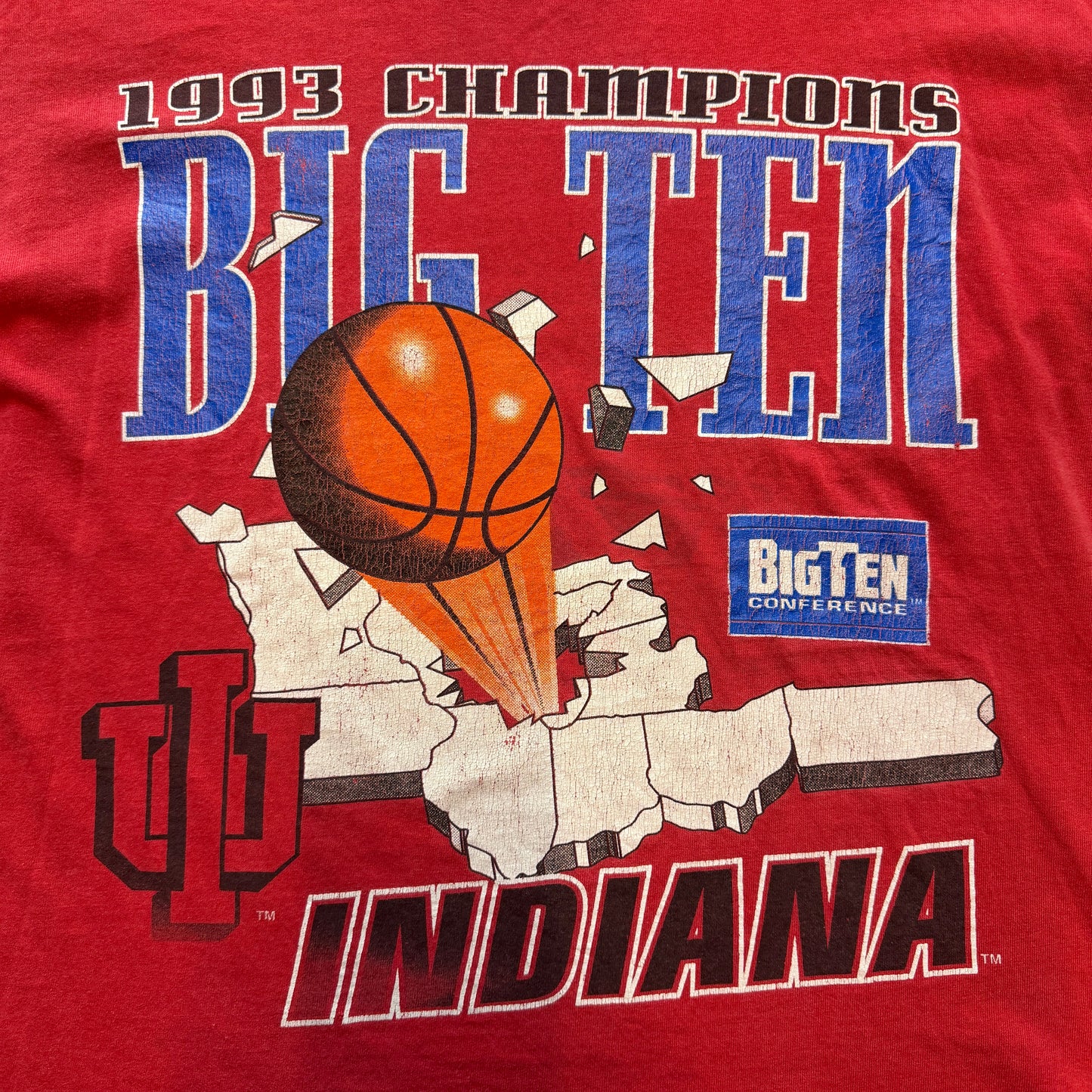 Indiana 1993 Big 10 Championship Nutmeg Tee