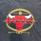 Chicago Bulls Logo Nutmeg Tee