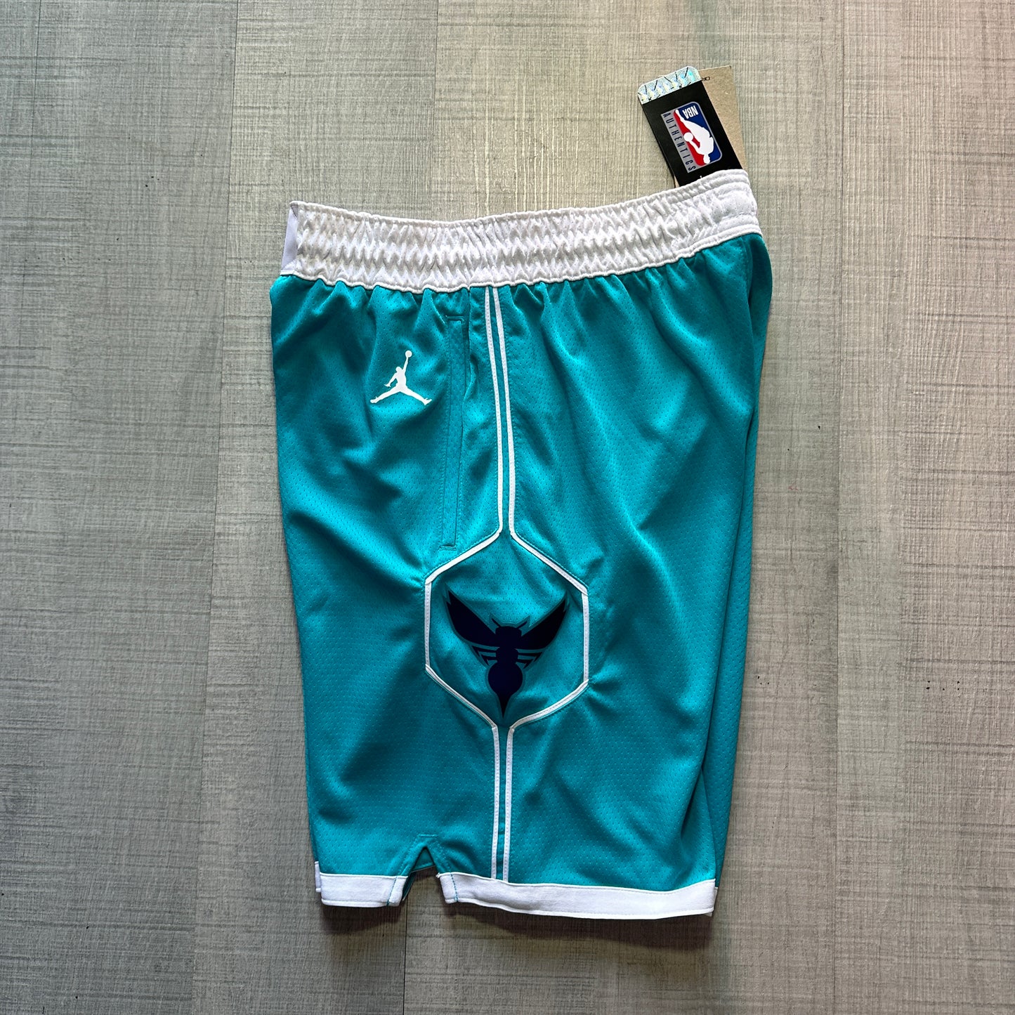 Charlotte Hornets Icon Edition Nike Shorts