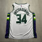 Giannis Antetokounmpo Milwaukee Bucks 75th Anniversary City Edition Nike Jersey