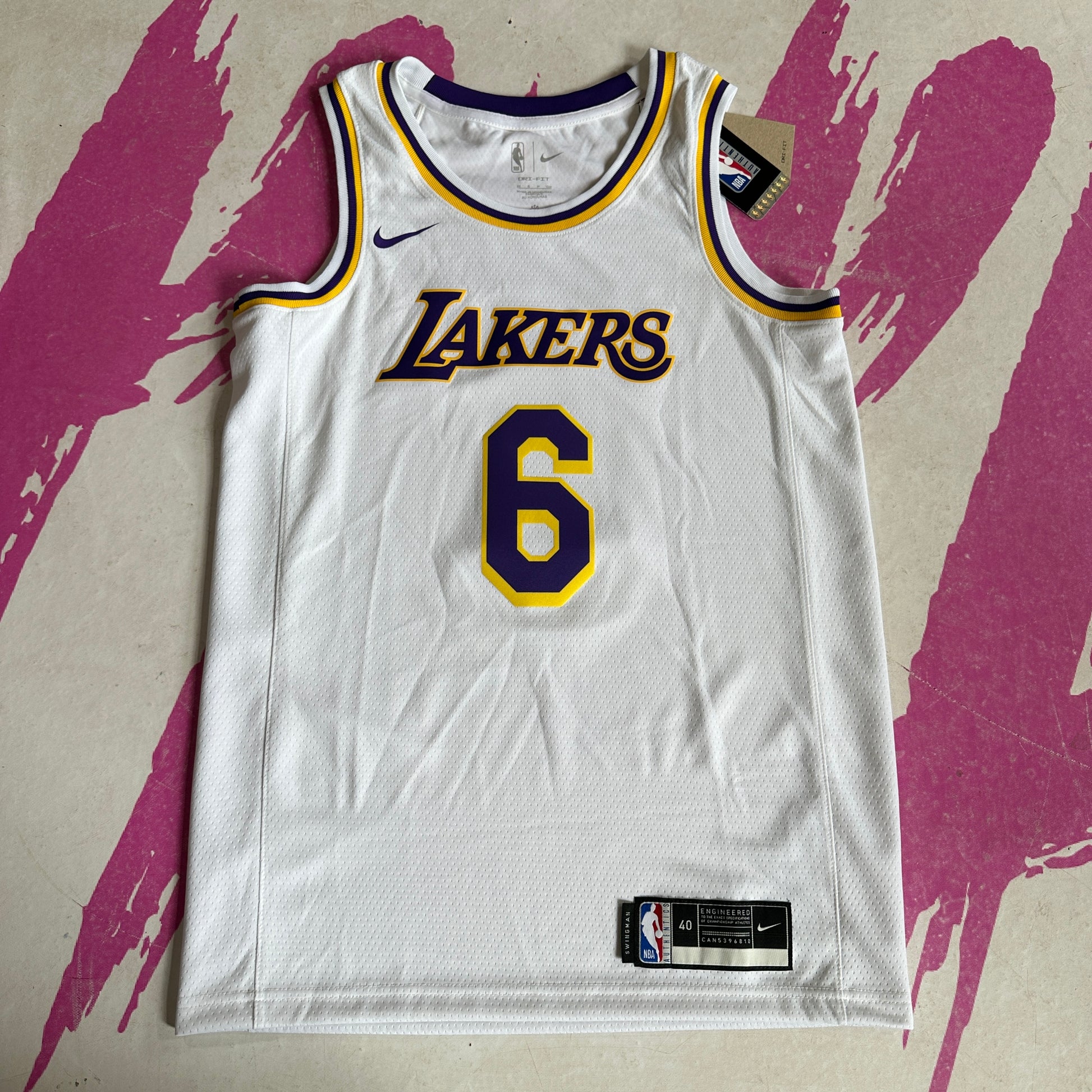 Nike Basketball NBA LA Lakers Dri-FIT Lebron James Icons jersey vest in  purple